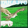 Takajyo Free Web Game